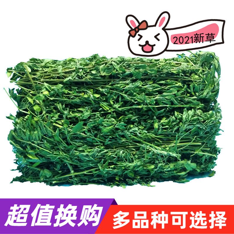 2021 New grass rabbit Alfalfa hay Young rabbit food Totoro lop rabbit grass Rabbit food Guinea pig feed 1kg