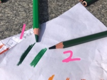 Monochrome green oil color pencils 12