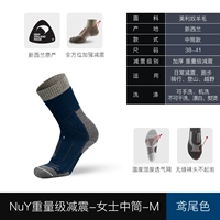 Абсорбционный академ