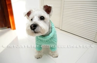 Breguet UNPET mùa thu và mùa đông thú cưng Teddy trang phục chó dệt kim tay cao cổ áo len xoắn đôi - Quần áo & phụ kiện thú cưng áo chó pug