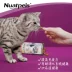 Nuatpeis Nuatpeis Pulp Core Trái cây giòn cho mèo con trưởng thành (Khoai tây tím cá hồi) Đồ ăn nhẹ cho mèo, Sandwich Mouth Cat - Đồ ăn nhẹ cho mèo