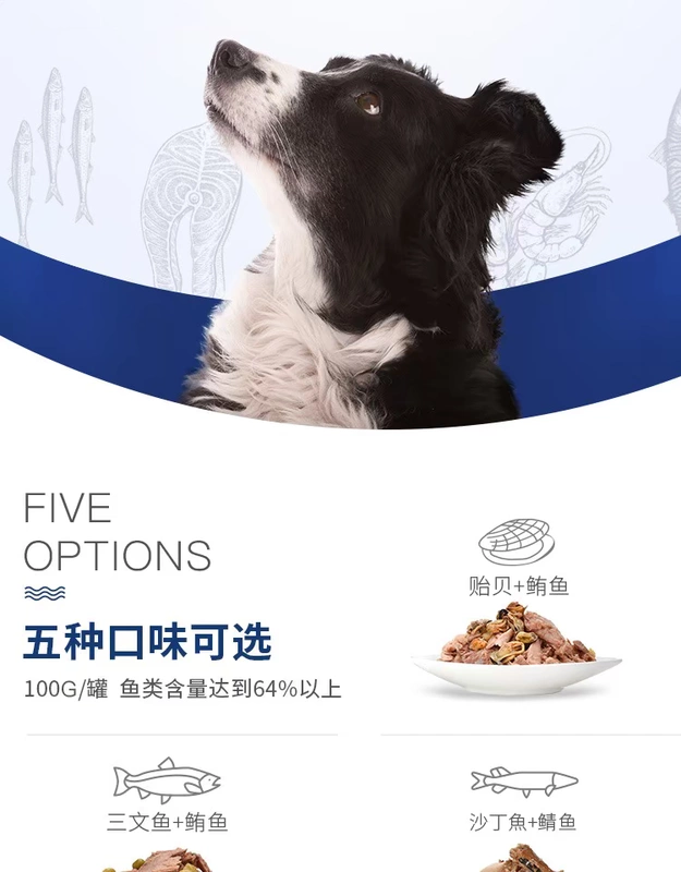 Fish4Dogs / Ocean Star Đóng hộp cho chó Bibimbap Dinh dưỡng tự nhiên cho chó Thức ăn ướt cho chó Đồ ăn nhẹ 100g * 1 lon - Đồ ăn vặt cho chó