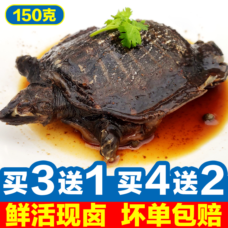 Halliga Fish Group Fish Hold meat Spicy Small Chia Fish Water Fish King Octabrine Spiced Spicy Cooked Food Ready-to-eat Fresh And Fresh Live