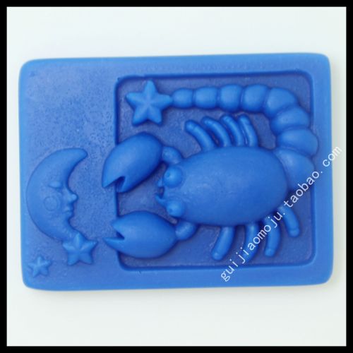 AI008 Scorpio DIY handmade xà phòng công cụ silicone khuôn 12 chòm sao bán hàng trực tiếp khuôn làm bánh