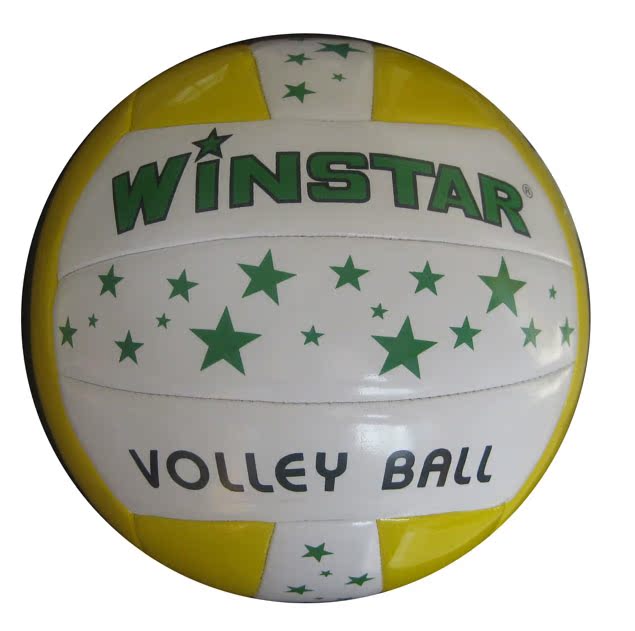 Ballon de volley - Ref 2012562 Image 11