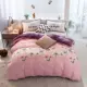 Ký túc xá đơn mảnh mùa đông đôi sang trọng quilt phong cách châu Âu nhung flannel quilt với có thể tháo rời và có thể giặt - Quilt Covers