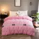 Ký túc xá đơn mảnh mùa đông đôi sang trọng quilt phong cách châu Âu nhung flannel quilt với có thể tháo rời và có thể giặt - Quilt Covers