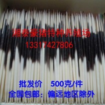 养殖豪猪刺 豪猪毛 刺猪刺 箭猪刺  500克一件 