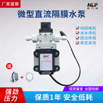 (tiger force front) diaphragm pressure self-priming water pump water drilling machine water-drill water-off high lift
