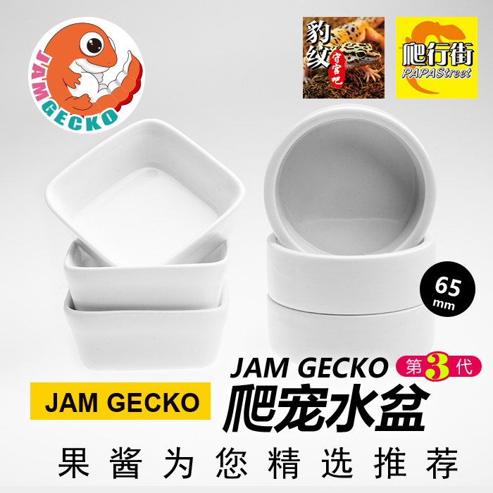 Jam recommended high quality small climbing reptile BAO WELN PALACE SPIDER with ceramic food basin water basin 6 5 cm