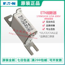 Eaton Bussmann 170M1418 170M1419 125A 160A 690V 700V comparative identification
