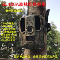 Infrared night vision camera BL480A infrared camera forestry protection area for outdoor field monitoring forest anti-theft