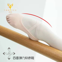 Four-sided elastic two-soled soft shoes Ballet art test instep professional dance practice shoes Adult cat claw shoes Mens shoes
