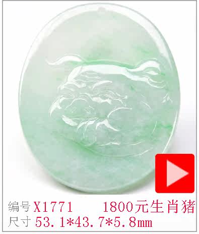 X1771.jpg