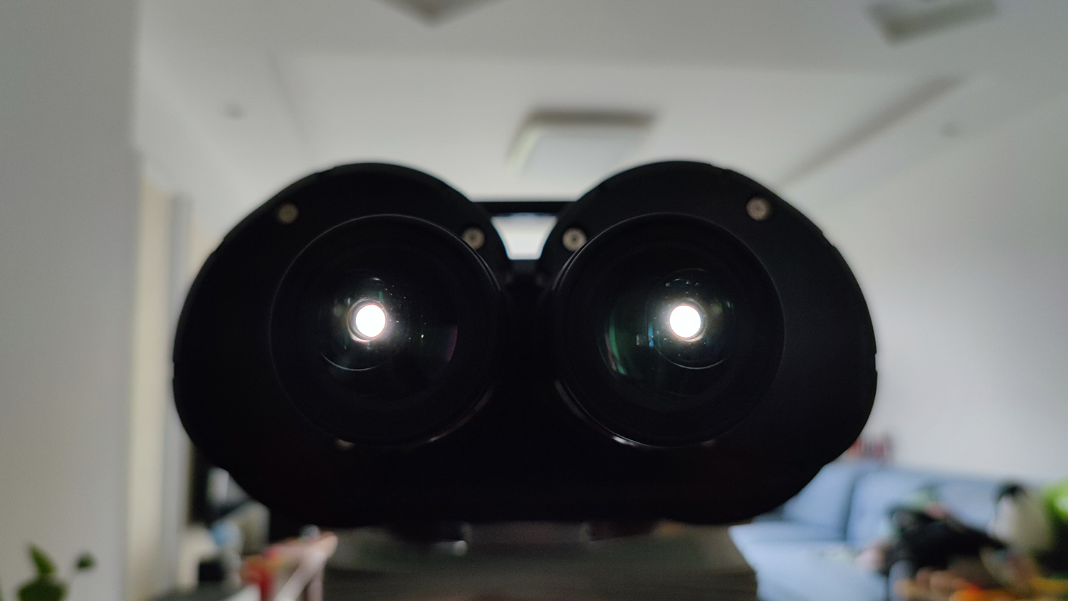 152ED binoculars, Large Paul 2 inversion system Vendor and Group