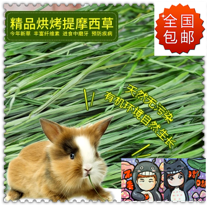 National Green Green Nanti Full Leaf New Pint Moses Grass 1 Pound South Titi Moshe Can Cut Grass