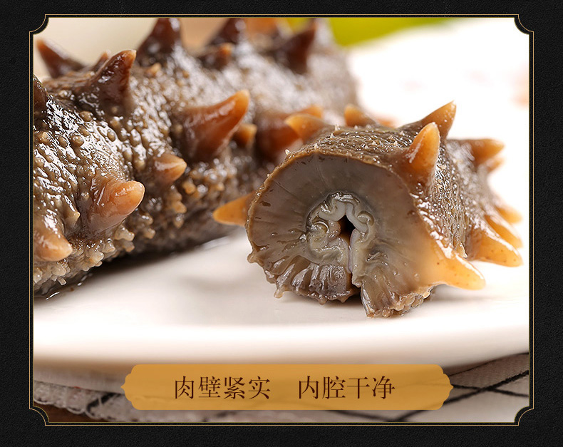 神龙岛 5A淡干海参 50克 图8
