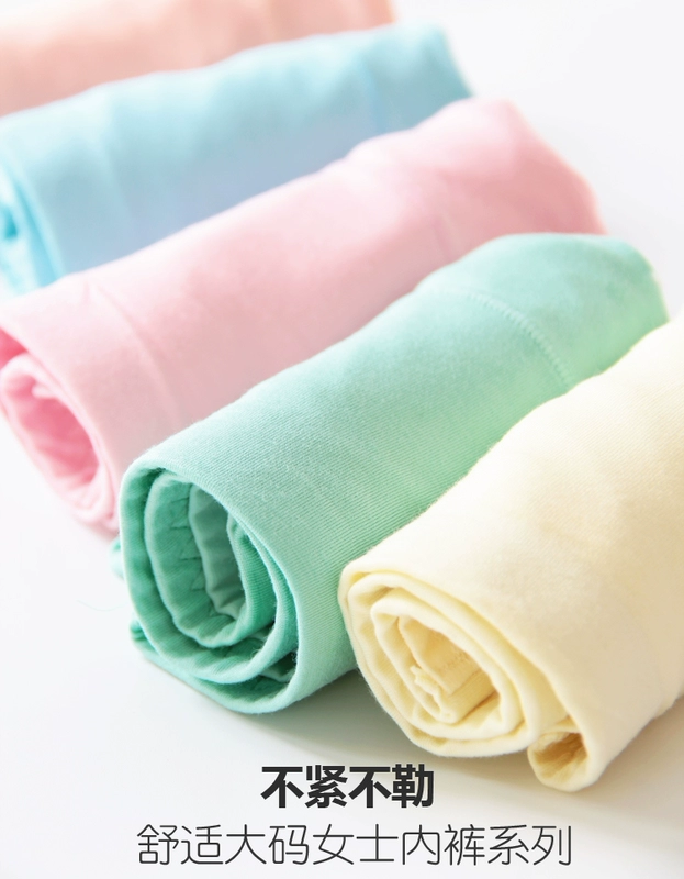 Cộng với phân bón XL nữ 200 pounds chất béo mm mẹ trung niên cao eo tam giác modal cotton đồ lót thêm mã lớn - Vòng eo thấp