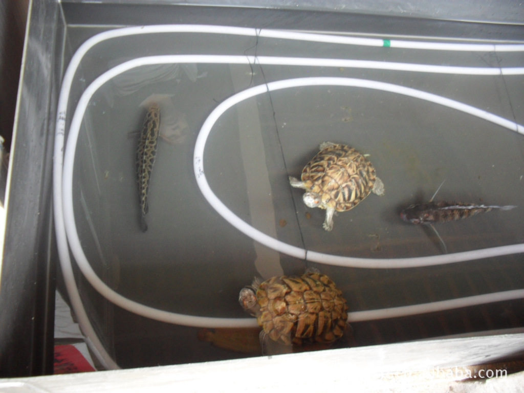 Aquatic heating wire Aquatic heating tube Aquaculture insulation Shrimp fish turtle insulation equipment