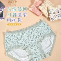 3 pieces of Deisy girl 8860 viscose fiber waist lace edge soft floral bow thin ladies underwear