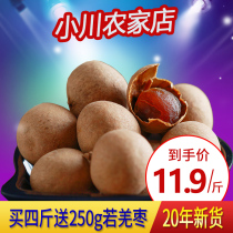Ogawa farm shop new 5A dried longan 500g dried Putian specialty Longan dried meat non-seedless