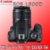 Canon EOS 1500D 1300D 18-55 Máy ảnh DSLR của Ngân hàng Quốc gia chụp ảnh du lịch HD - SLR kỹ thuật số chuyên nghiệp