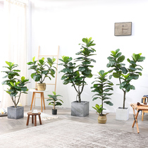 Piano leaf banyan emulation indoor office floor green planting basin off Nordic tropical plant home Ornament Swing window