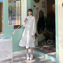 Commoner sauce original Heming Chaoyang Chinese style design sense niche embroidery long dress 2021 spring new