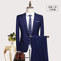 9009 Tale Lan Yijie 12 -Piece Set