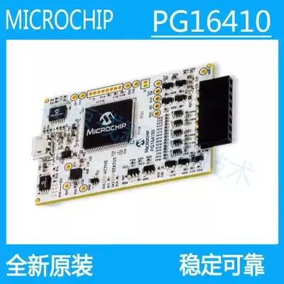 MPLAB Snap programmer PG164100 downloader MICROCHIP original