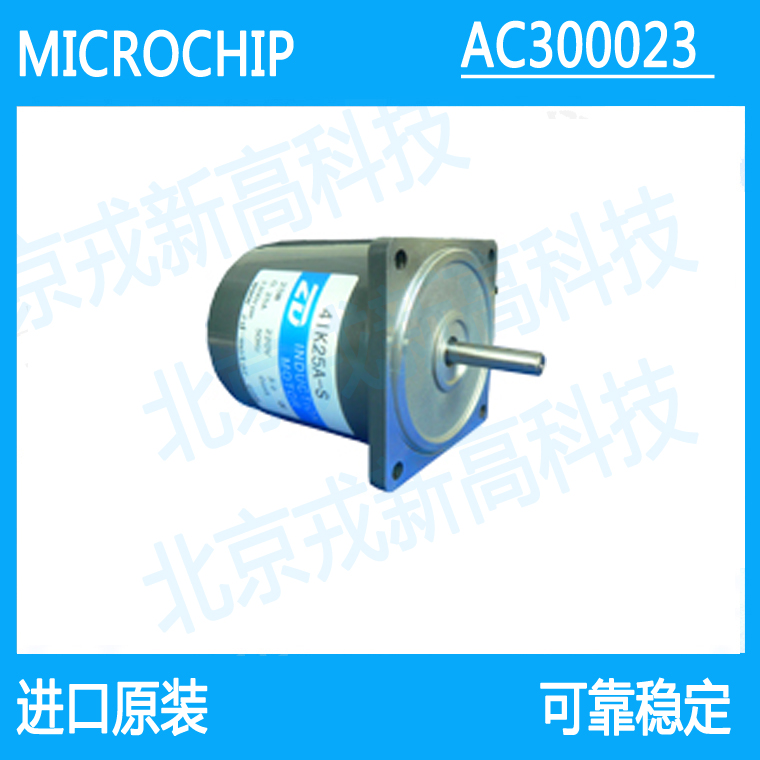 AC300023-AC Induction Motor Three-phase Induction Motor ACIM Motor