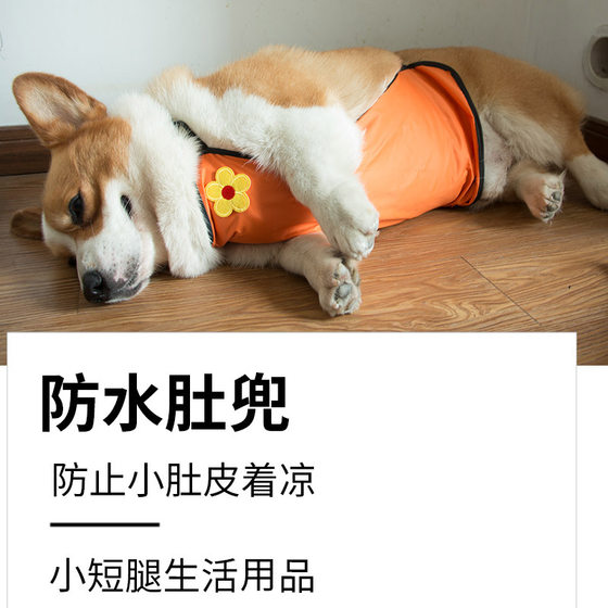 Dog Corgi Belly Waist Waterproof Clothes Summer Thin Style To Prevent Colds To Protect Belly Pet Belly Protector Teddy Raincoat Funny