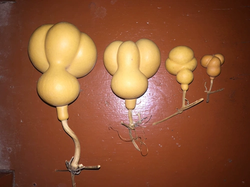 Бесплатная доставка высокой качественной