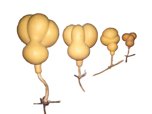 Бесплатная доставка высокой качественной