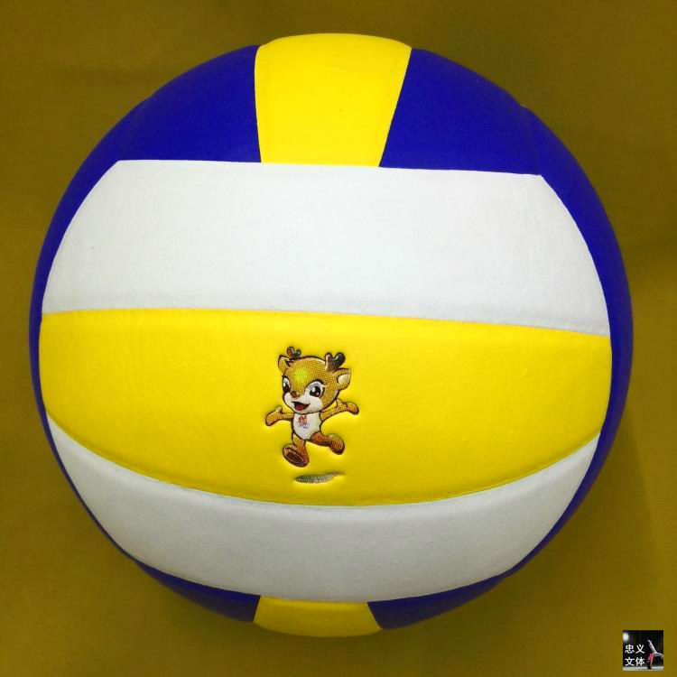 Ballon de volley-ball - Ref 2010959 Image 35
