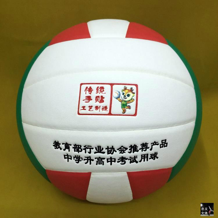 Ballon de volley - Ref 2011016 Image 17