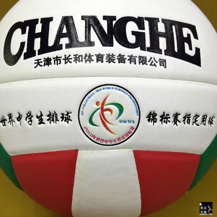 Ballon de volley - Ref 2011016 Image 16
