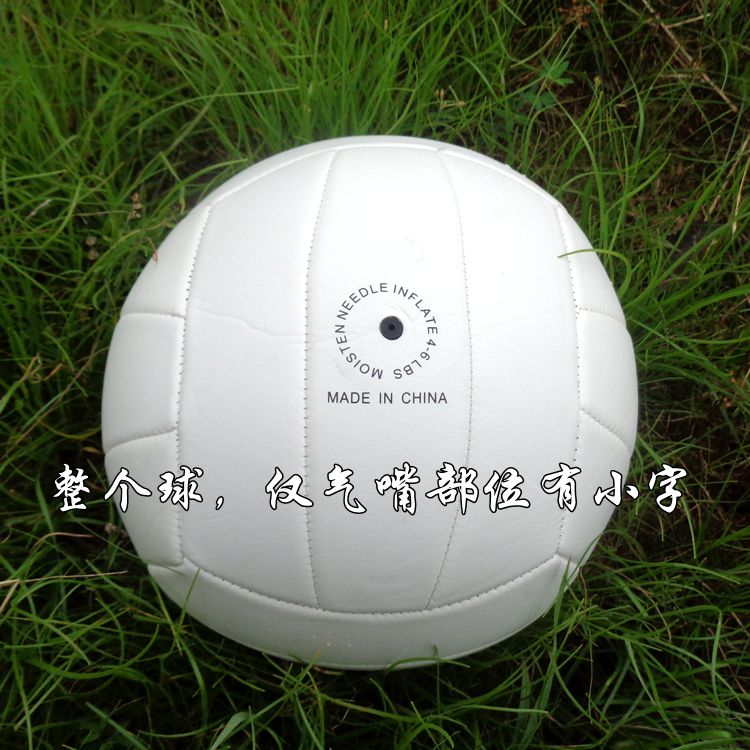 Ballon de volley BOAR - Ref 2007960 Image 14