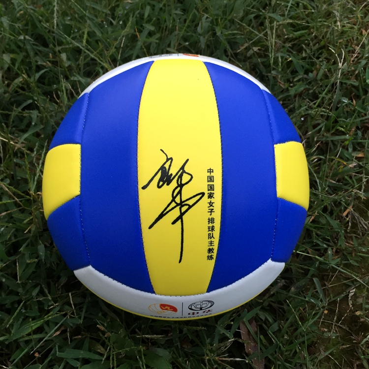 Ballon de volley-ball - Ref 2008006 Image 10