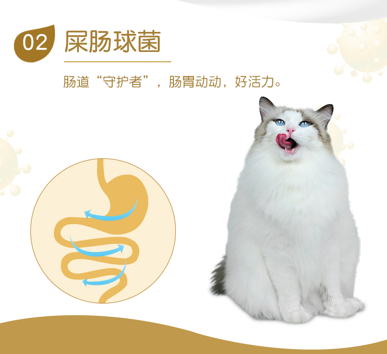 Cả hai sữa dê vào bánh pudding mèo 15g * 50 viên toàn bộ mèo ăn nhẹ mèo thức ăn ướt mèo mèo đóng hộp đồ ăn nhẹ thạch - Đồ ăn nhẹ cho mèo đồ ăn mèo