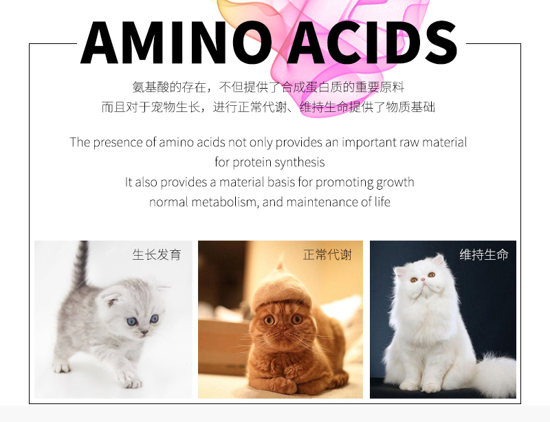 Chỉ có kem đặc biệt dành cho mèo có men dinh dưỡng vào mèo con điều hòa táo bón tiêu hóa giúp tiêu hóa giúp tiêu hóa 10 - Cat / Dog Health bổ sung sữa cho chó con mới sinh