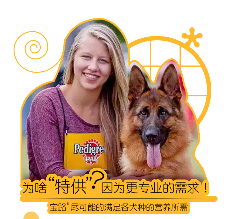 Thức ăn cho chó Baolu chính thức 20kg thức ăn cho chó trưởng thành Labrador Demu Jinmao General dog thức ăn cho chó trung bình 40 kg - Chó Staples hạt cho chó poodle