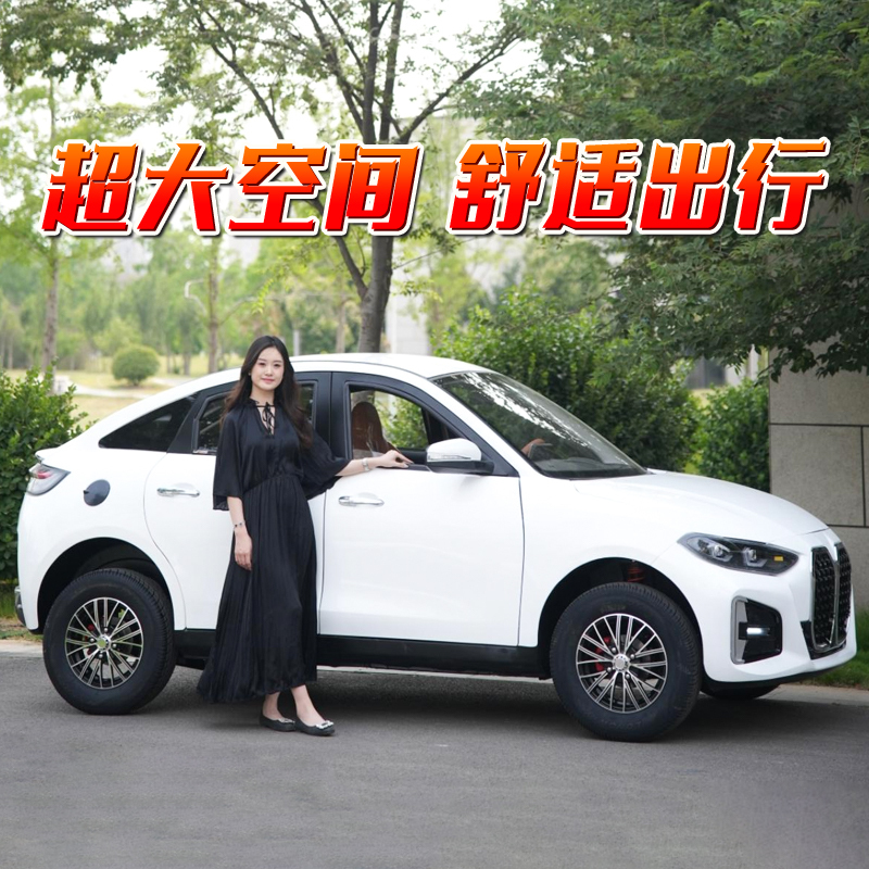 Elderly-Friendly Four-Wheel Electric Vehicle, Small Mobility Scooter for Women, Dual-Fuel (Gas-Electric), No Driver's License Required, New Energy Small Car