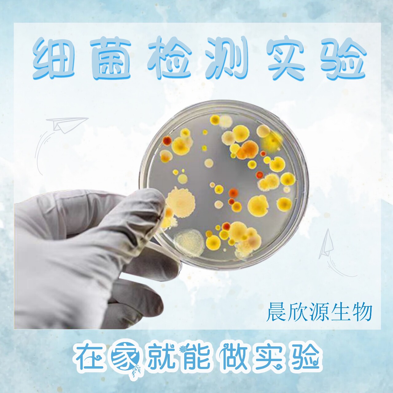 学校学生小朋友物体表面微生物检测手手机门把手细菌检测接触碟皿