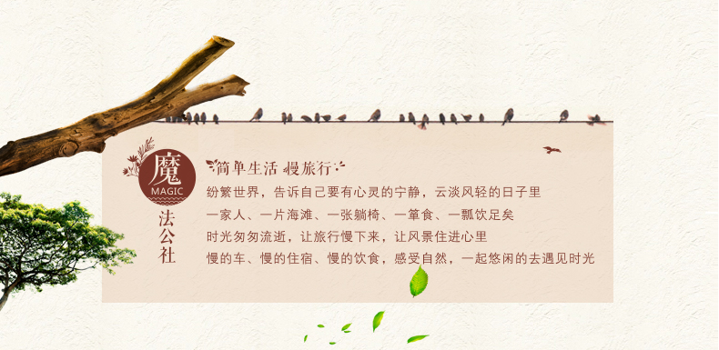 01-1商品参数 品牌主张