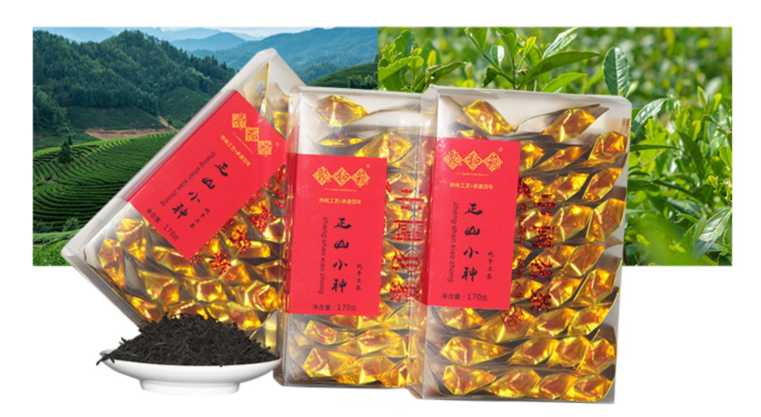 正山小种红茶叶新茶小包袋装武夷山