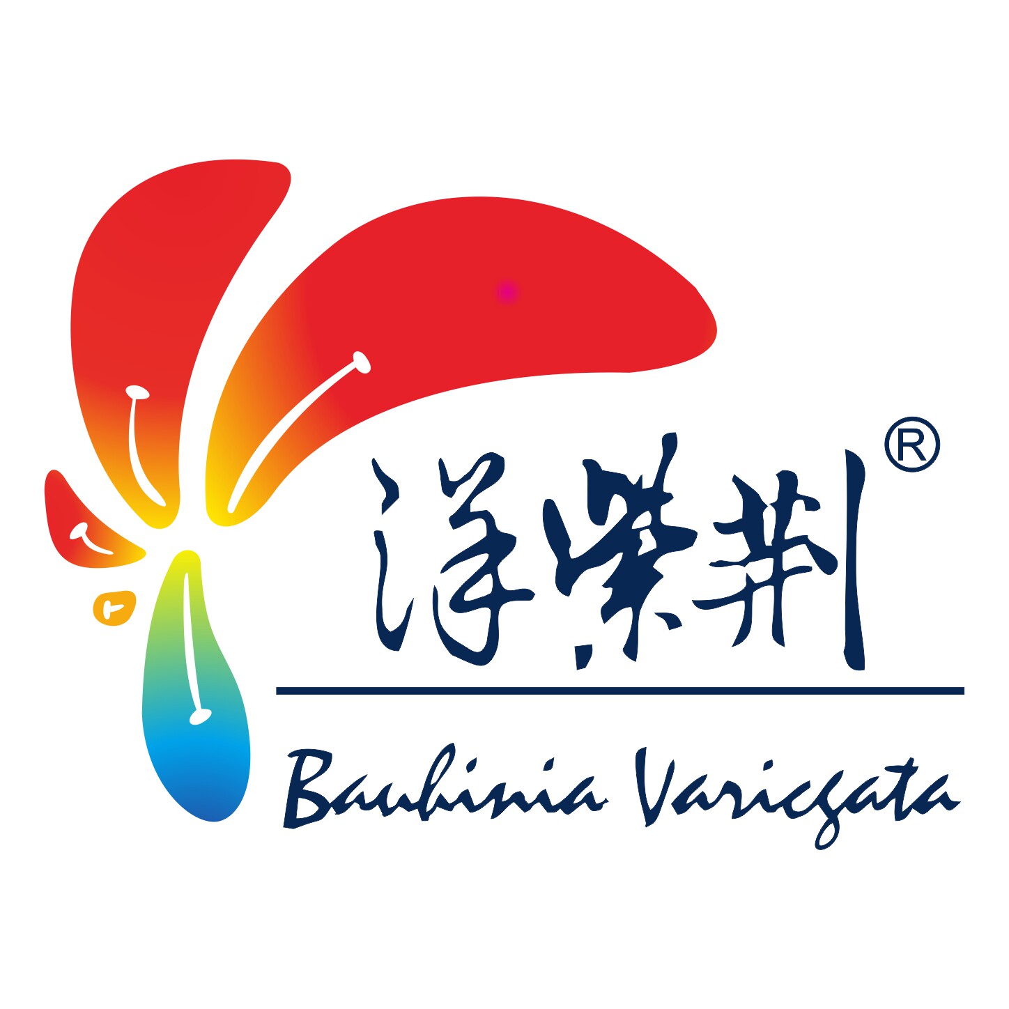 洋紫荆油墨