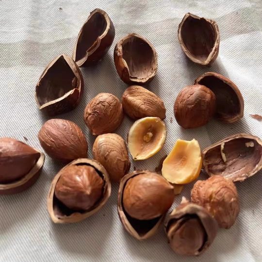 Liaoning fried cooked hazelnuts packaged hairy hazelnuts Heng Yuzhen