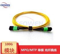 12 Core single mode MPO-MPO fiber jumper compatible with MTP40G 100G light module Patch cord