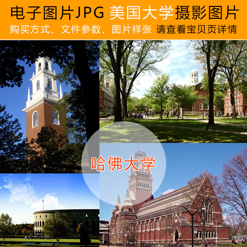 World Name School Photo American University Harvard Yale University of California Stanford Photographic Photo material Tuku inspirational A